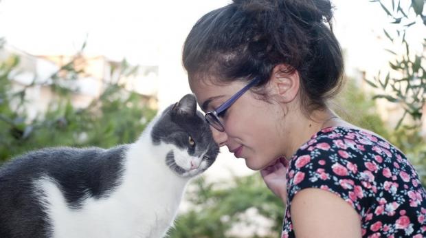 Фото: Кошачья любовь: 10 признаков особенного отношения животного к человеку. Магазин ЗооПуть
