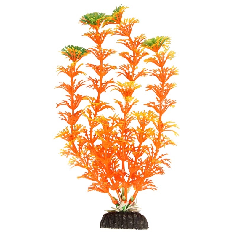 Фото: Laguna Растение "Амбулия" оранжевая, 200 мм. Магазин для животных ЗооПуть