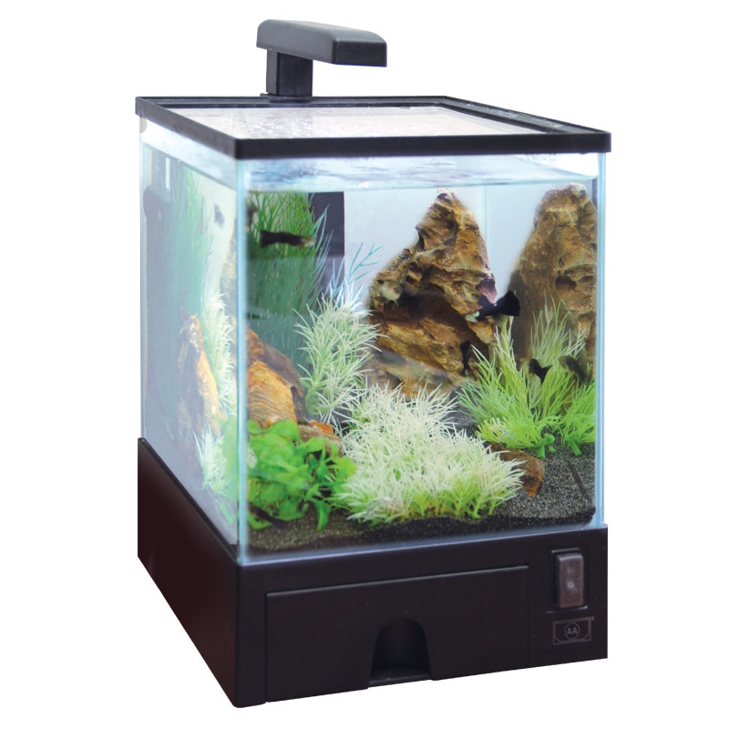Фото: AA-Aquariums Аквариум "Aqua Box", 5.5 л, 190 х 220 х 295 мм. Магазин для животных ЗооПуть